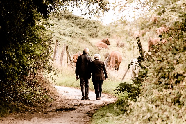 Elderly Companion Services: Boosting Mental Well-being for Seniors