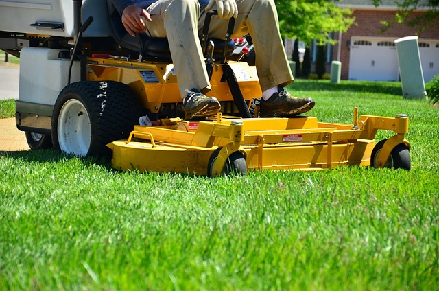 Elevate Your Lawn: Effective Mulching and Edging Techniques