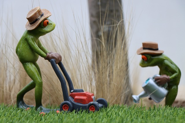 Lawn Care and Landscaping: Transform Your Yard into a Smiling Oasis