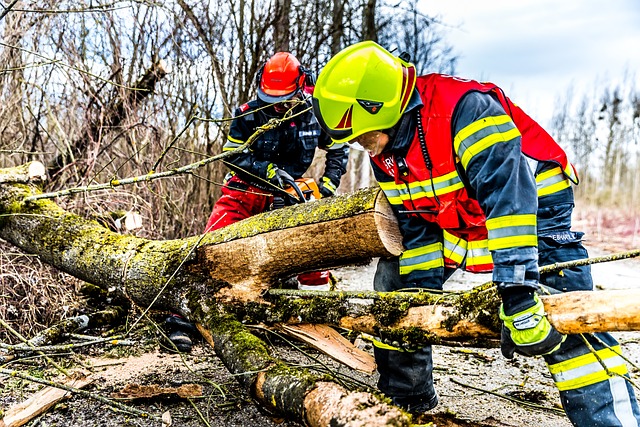 selling fire damaged property Houston
