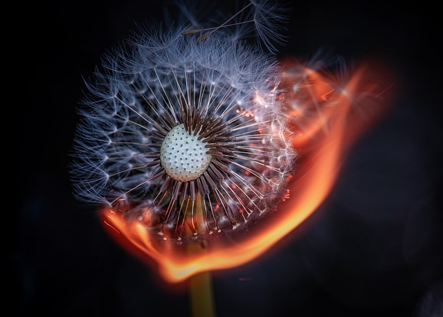 who buys fire damaged homes California