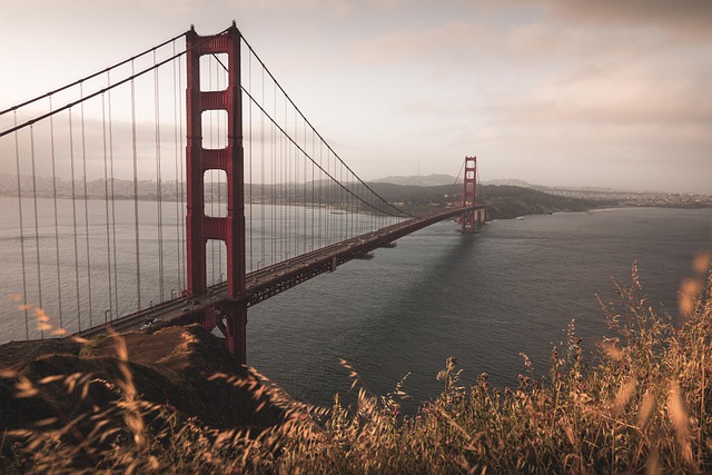 can you sell a house with fire damage California