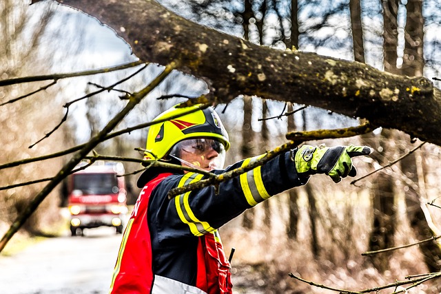 Fire Restoration in California: Revitalize Your Home Post-Damage