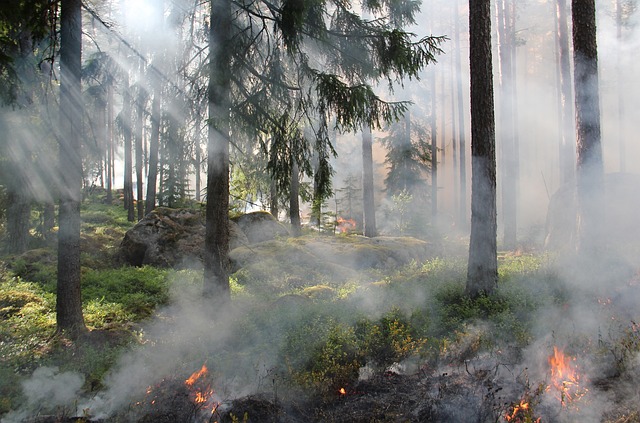 sell a fire damage house Houston