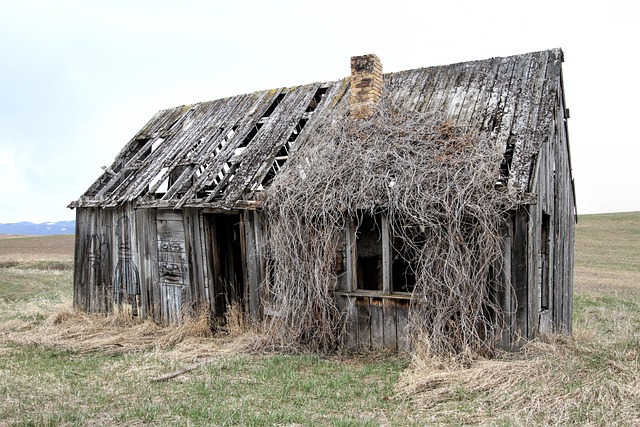 Real Estate Investors: Revitalizing California’s Market with Fire-Damaged Homes