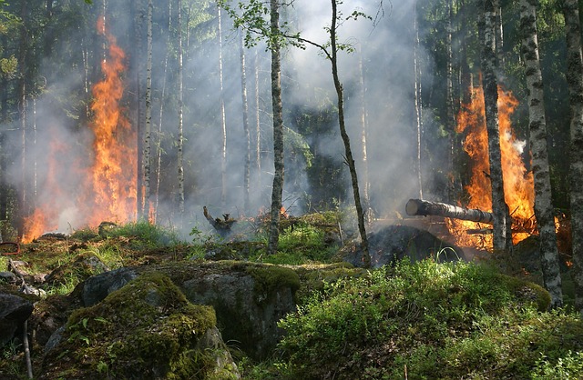 how to sell a fire damaged home California