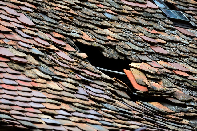 how to sell a house with fire damage California