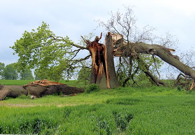 sell a house with fire damage Houston
