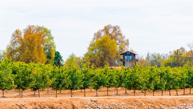 sell fire-damaged house California