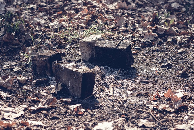 sell-house-after-a-fire-california-640x480-56367684.jpeg