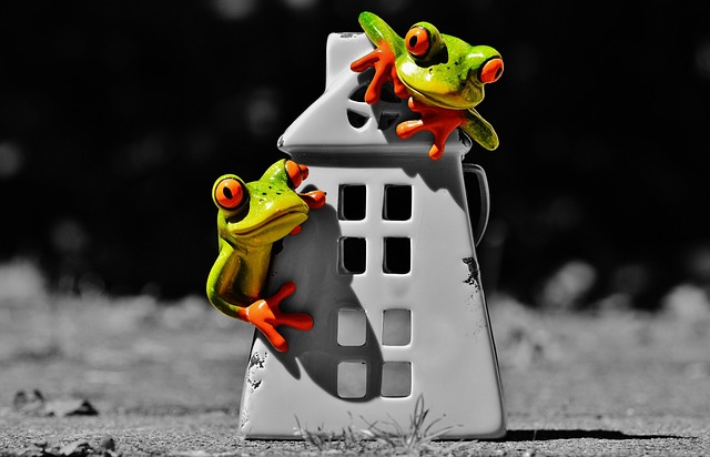 sell my fire damaged home Chicago