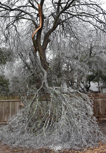 sell-my-house-as-is-fire-damage-californ-640x480-83836349.jpeg