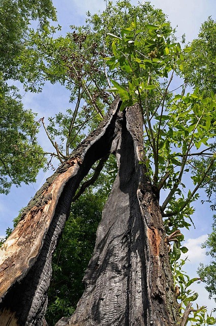 sell-my-house-as-is-fire-damage-chicago-640x480-13477745.jpeg