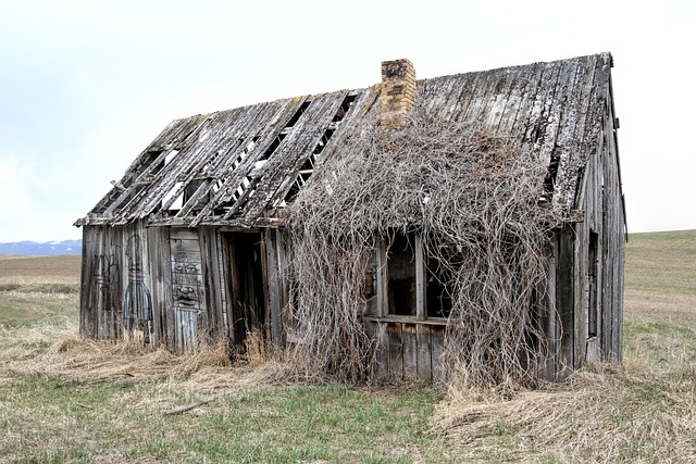 selling fire damaged home California