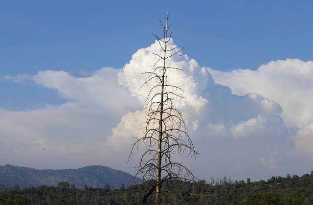 selling-fire-damaged-house-california-640x480-94436305.jpeg