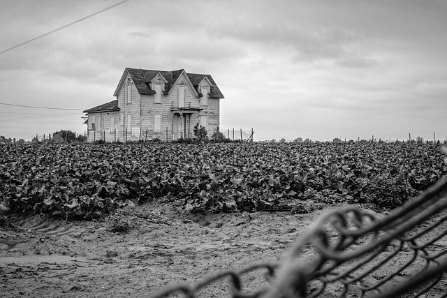 sell fire-damaged house California